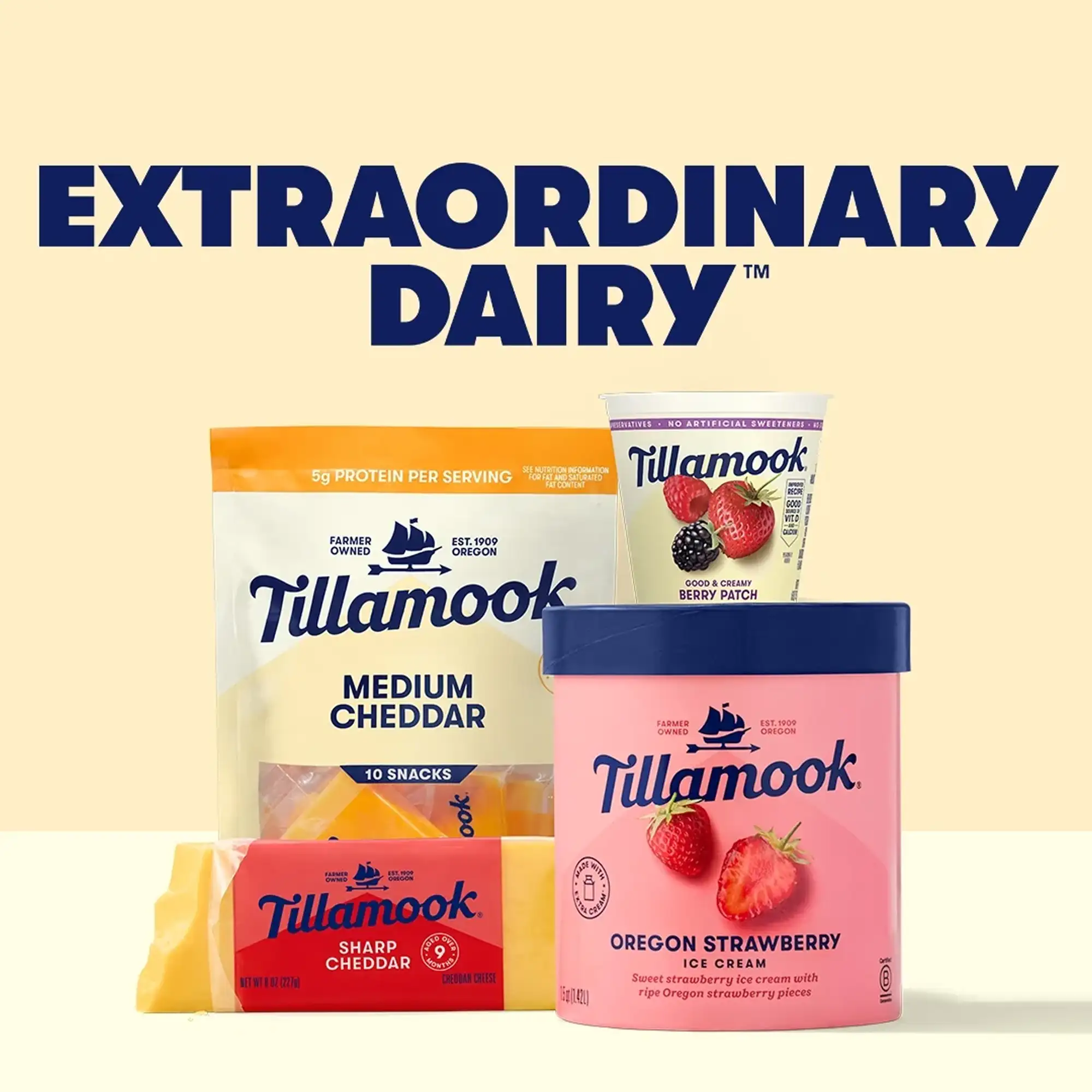 Tillamook Vanilla Bean Low Fat Yogurt Blended 32 oz Tub - Görsel 3
