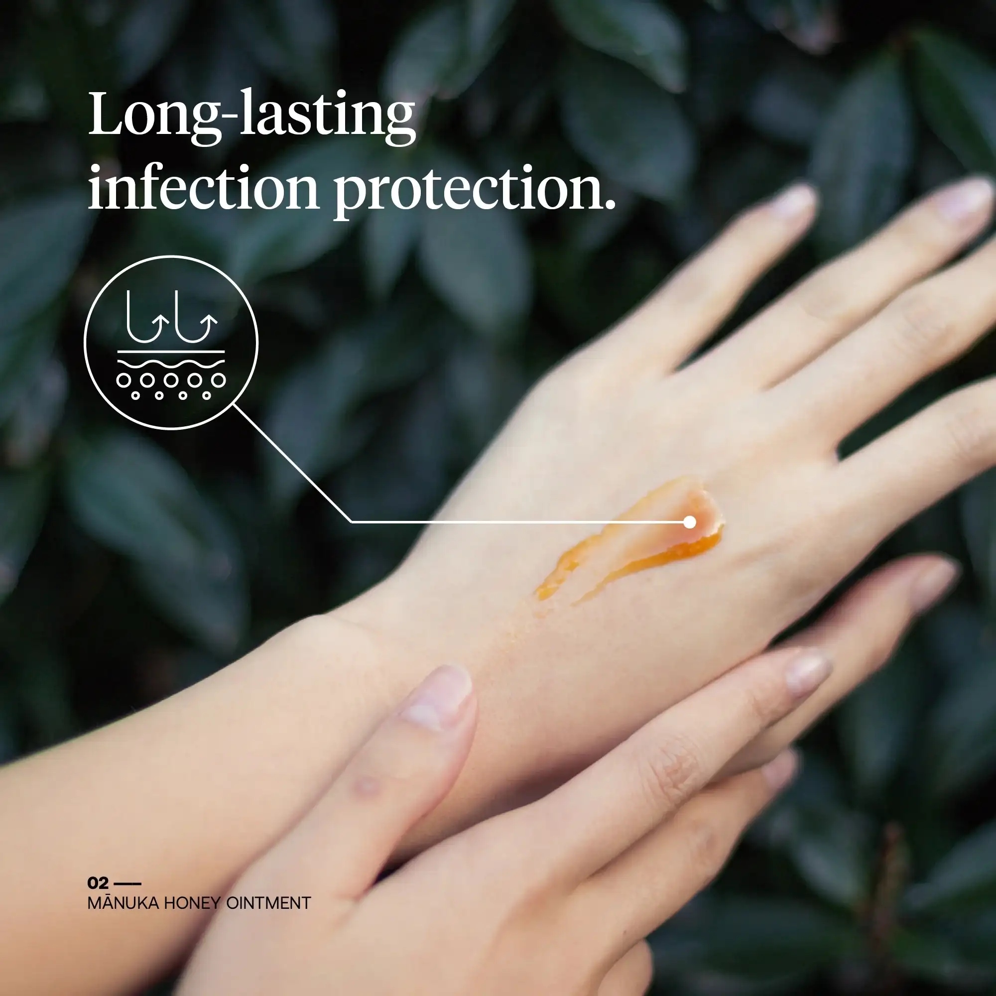 First Honey Sterile Manuka Honey Ointment First Aid Wound Care - Görsel 3